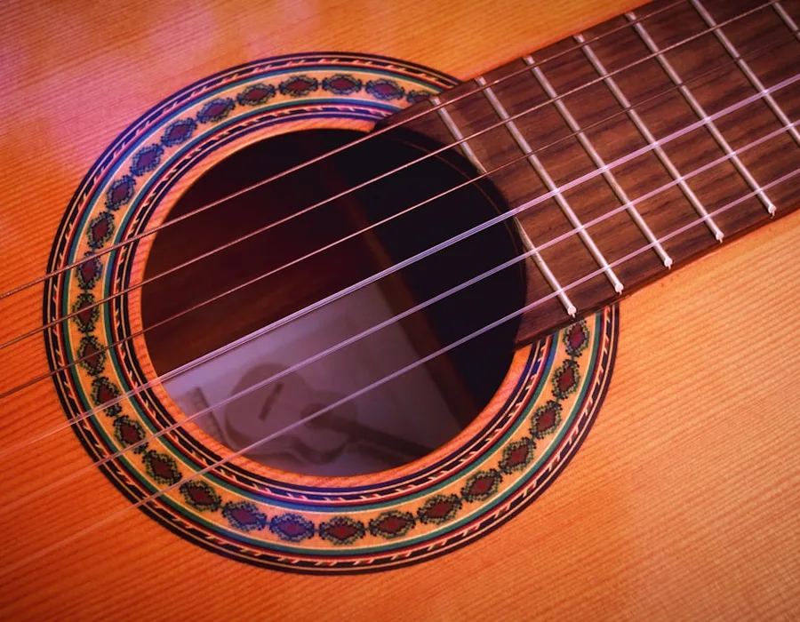 Guitar detail — instrument category discussion for wholesale enquiry