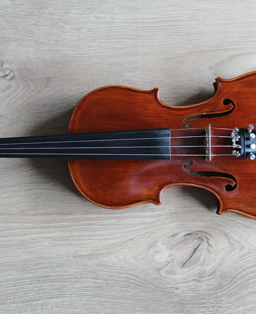 Musical instruments arranged for wholesale supply discussion
