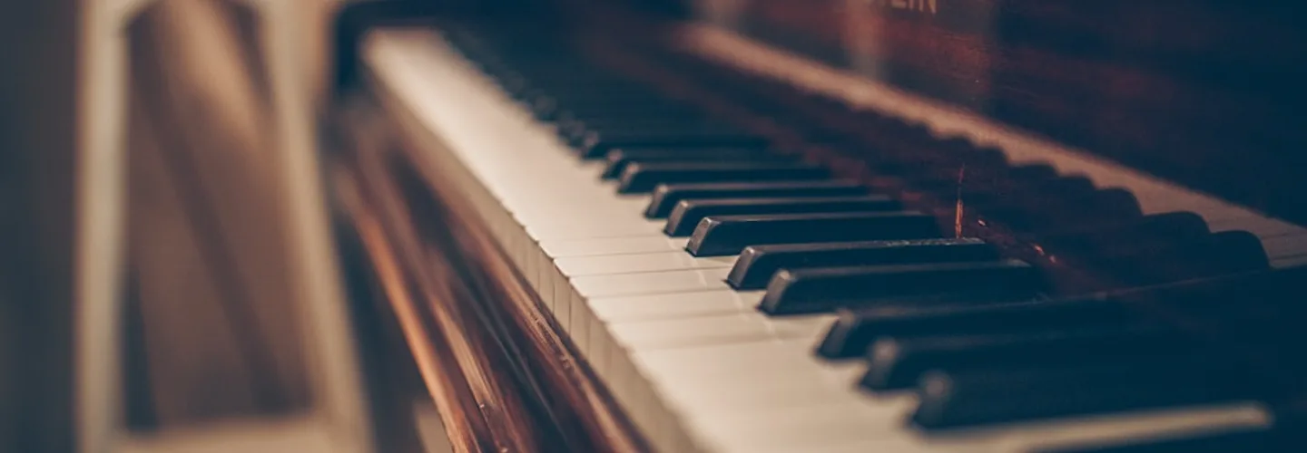 Piano keys — musical instrument detail for wholesale discussions